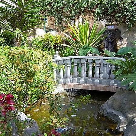 Don Manolito Hotel Puerto de la Cruz (Tenerife)